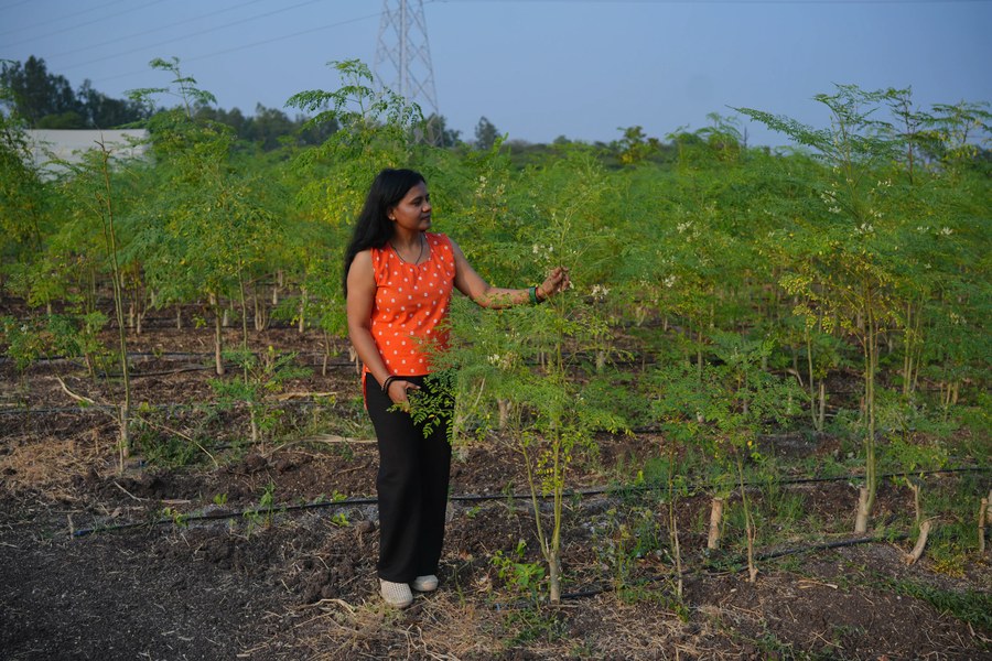 Farm visit